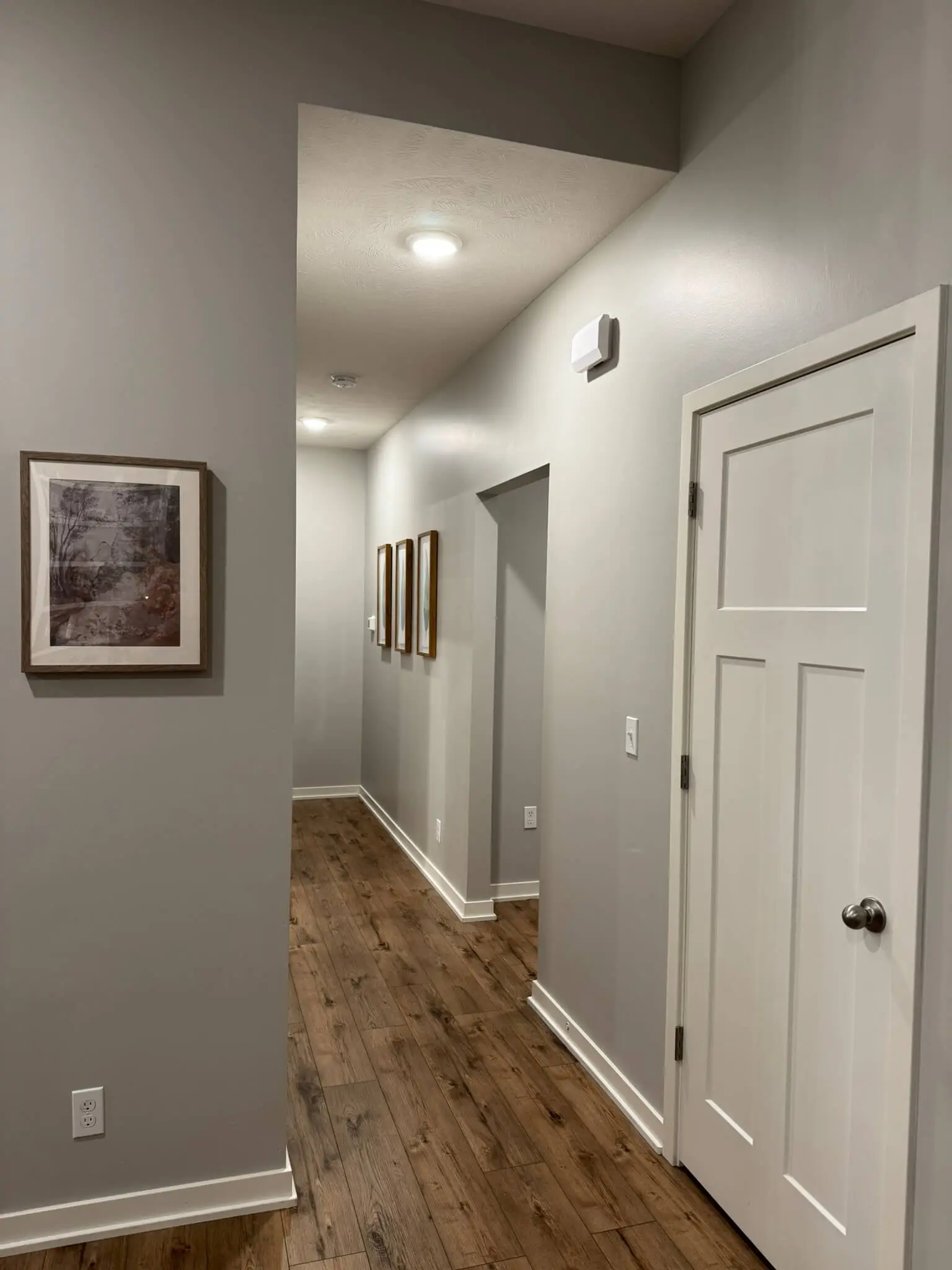 Hallway in a house with white doors.